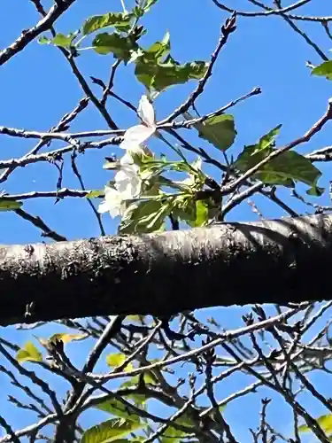 手力雄神社(岐阜県)