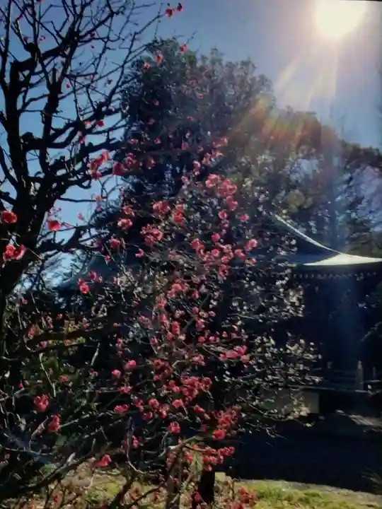 布多天神社(東京都)