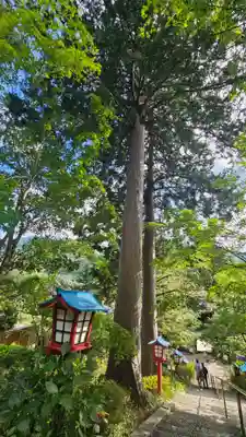 大善寺(山梨県)