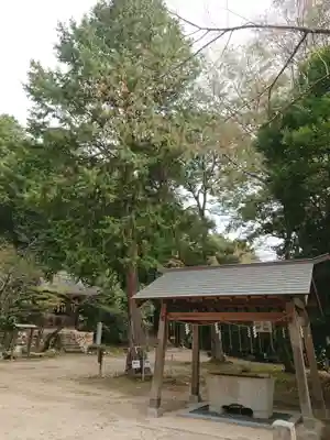 関山神社の手水舎