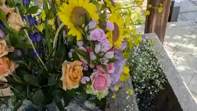 勝林寺(京都府)