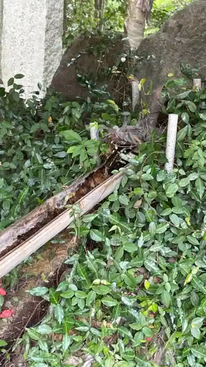 美具久留御魂神社(大阪府)