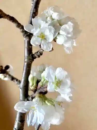 蚊里田八幡宮(長野県)