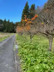 御嶽神社の自然