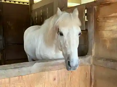 金刀比羅宮(香川県)