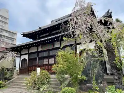 青雲寺(東京都)