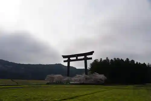熊野本宮大社(和歌山県)