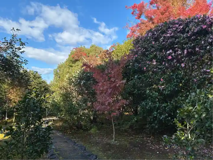 霊鑑寺門跡(京都府)