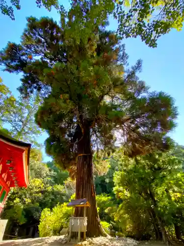 石上神宮(奈良県)