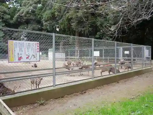 鹿島神宮の建物その他