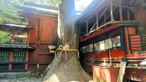 北口本宮冨士浅間神社(山梨県)