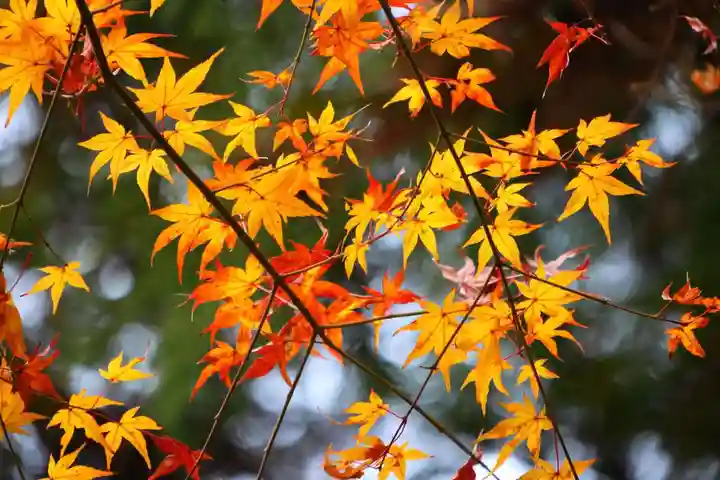 鹿島大神宮(福島県)