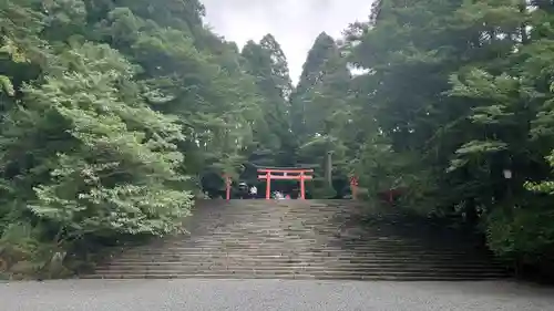 霧島神宮の建物その他