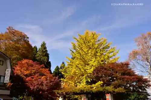 産安社（武蔵御嶽神社摂社）(東京都)