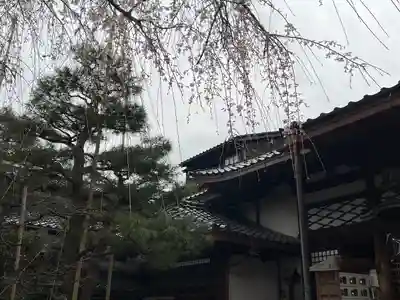 妙立寺(石川県)