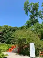 賀茂御祖神社(下鴨神社)(京都府)