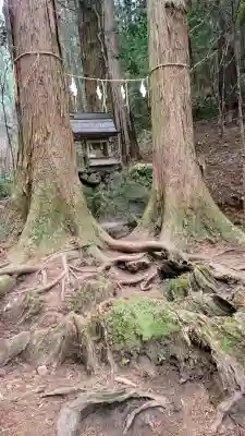 御岩神社の{uncategorized: "未分類", other: "その他", undefined: "問題あり", building: "その他建物", grave: "お墓", sacred_gate: "鳥居", guardian: "狛犬", statue: "像", buddha: "仏像", history: "歴史", nature: "自然", garden: "庭園", animal: "動物", pagoda: "塔", temizu: "手水舎", mountain_gate: "山門・神門", sanctuary: "本殿・本堂", subordinate: "末社・摂社", art: "芸術", scenery: "景色", jizo: "地蔵", ema: "絵馬", goshuin: "御朱印", omikuji: "おみくじ", items: "授与品その他", amulet: "お守り", goshuincho: "御朱印帳", eats: "食事", festival: "お祭り", votive_dance: "神楽", shichigosan: "七五三参", wedding: "結婚式", experience: "体験その他", initially: "初詣", around: "周辺", anti_infection: "感染症対策"}