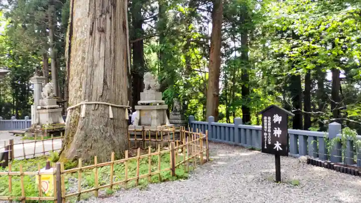 戸隠神社中社(長野県)