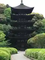 瑠璃光寺の塔