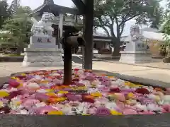 荘内神社の手水