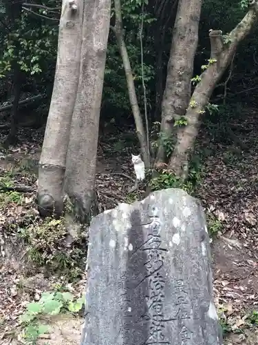 最上稲荷山妙教寺の建物その他