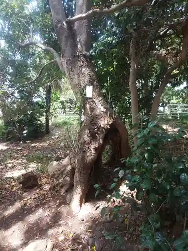 有鹿神社の自然