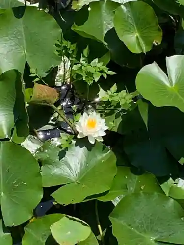 久安寺(大阪府)