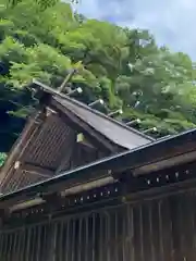 安房神社(千葉県)