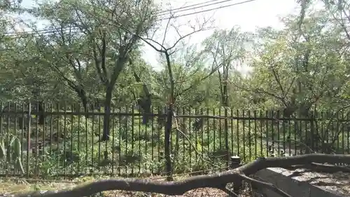 平野神社の自然