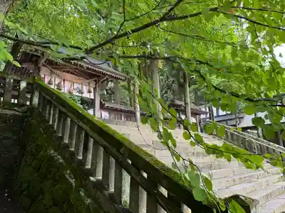 諏訪大社(長野県)