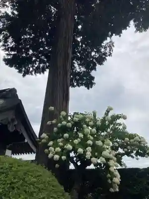 弘長寺(長野県)