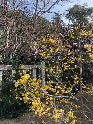 元三大師安楽寺の自然