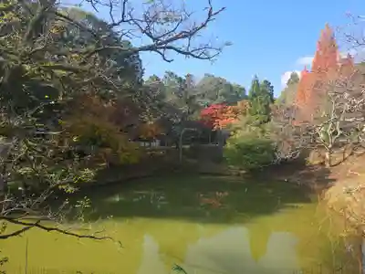 天寧寺(京都府)