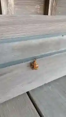 酒門神社(茨城県)