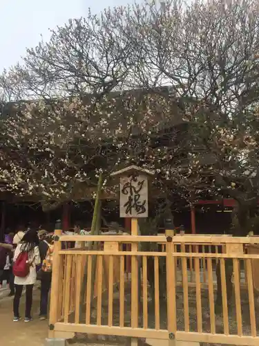 太宰府天満宮の自然