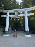 宝登山神社(埼玉県)