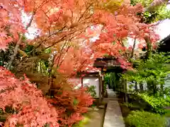 金福寺(京都府)