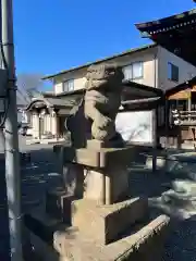 立川熊野神社の狛犬