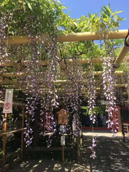 春日大社の庭園