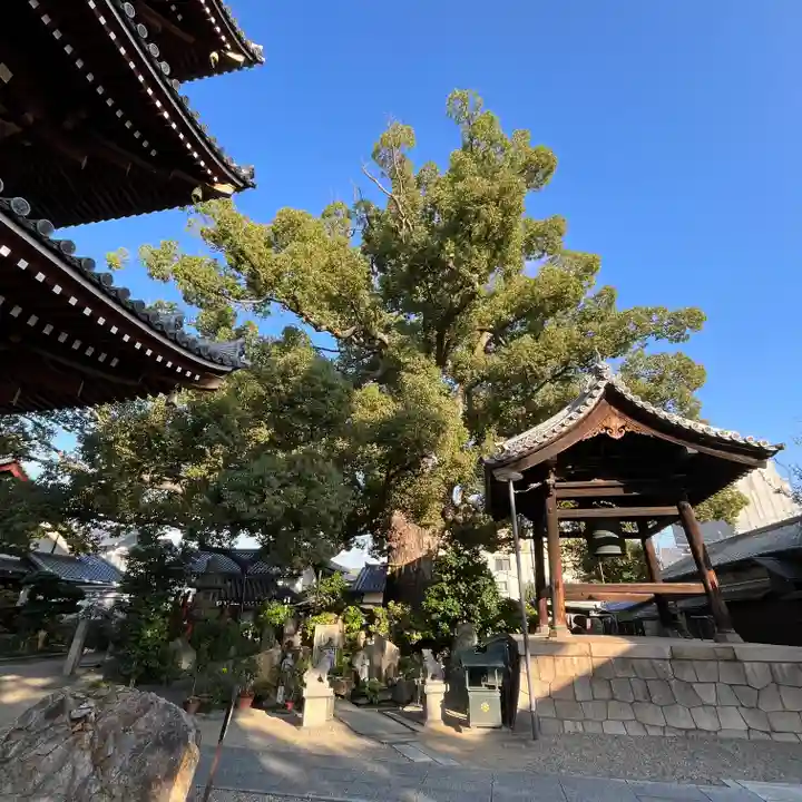 法楽寺(大阪府)