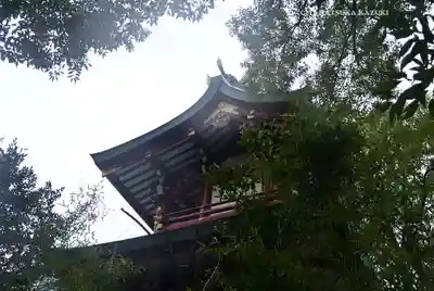 多摩川浅間神社(東京都)