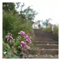 岐阜稲荷山本社(岐阜県)