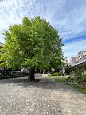 光永寺(長崎県)