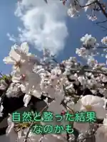 一乗院(和歌山県)