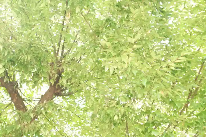 二宮神社(兵庫県)