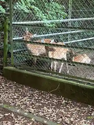 鹿島神宮(茨城県)