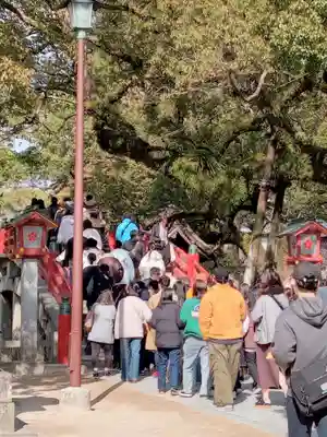 太宰府天満宮(福岡県)