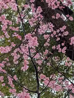 白幡八幡神社(神奈川県)
