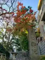 仙寿院(東京都)