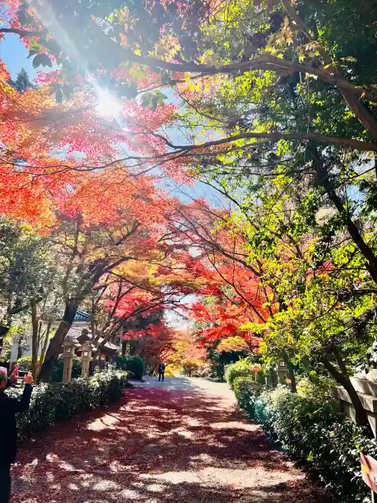 胡宮神社(敏満寺史跡)(滋賀県)